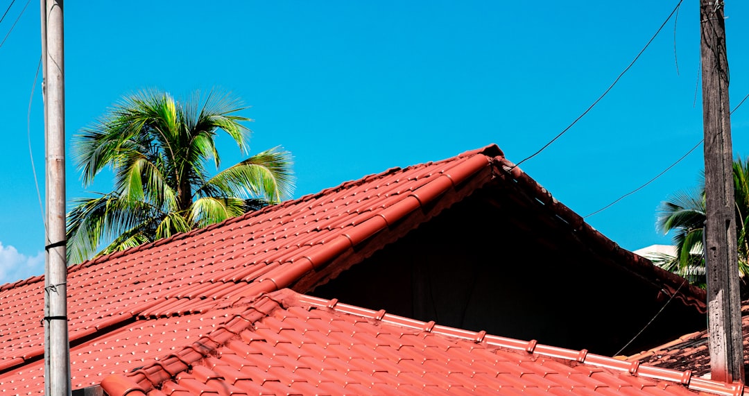 A detailed close-up view of heavy raindrops hitting dark asphalt roof shingles and running off, demonstrating the roof's function as a protective shield.